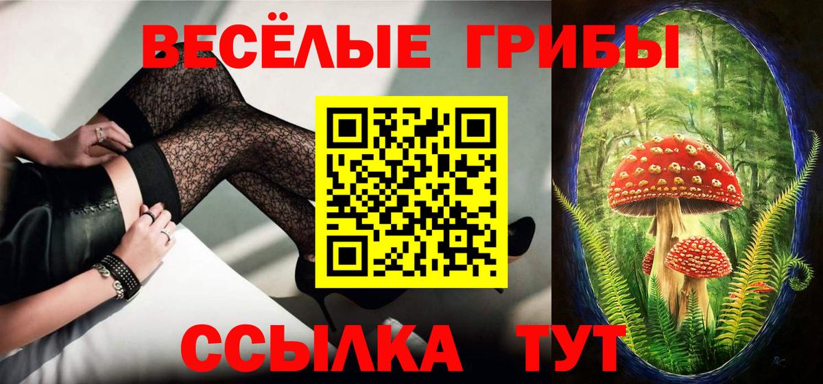 Псилоцибиновые грибы Psilocybine cubensis Лесной